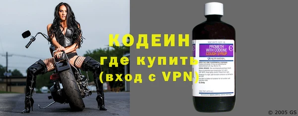 прущие грибы Армянск