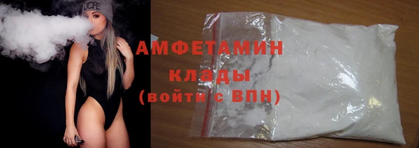 прущие грибы Армянск