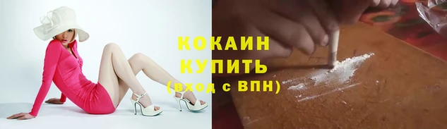 прущие грибы Армянск