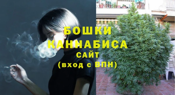 эйфоретик Аркадак