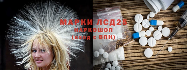 прущие грибы Армянск