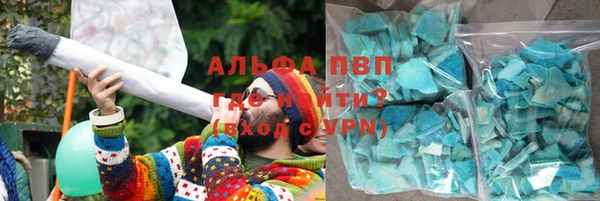 прущие грибы Армянск