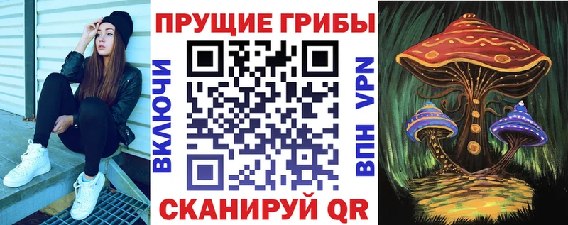 Псилоцибиновые грибы Psilocybe Пустошка